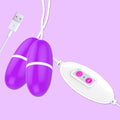 12 Frequency Dual Bullet and Remote G Spot Massager